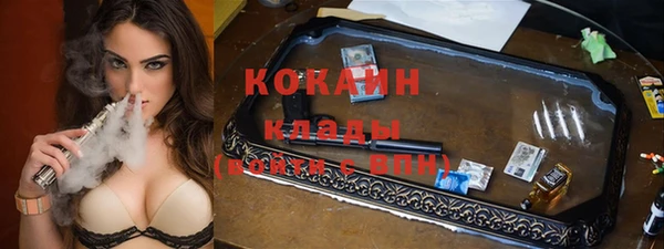 индика Алзамай