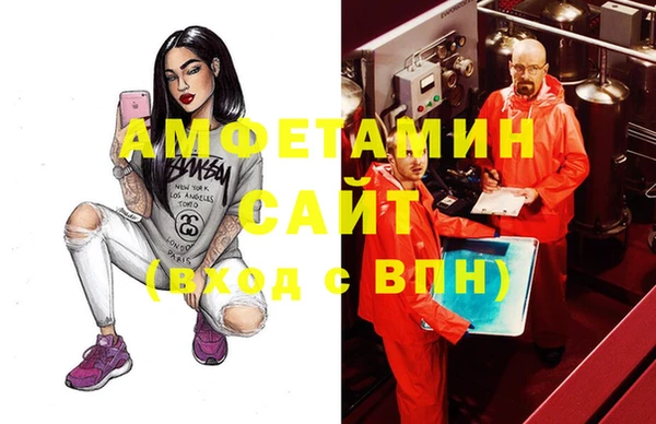 индика Алзамай