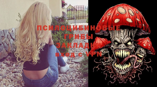 амф Алексин